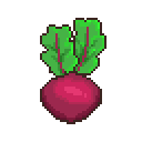 Beet image