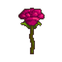 Rose image