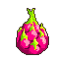 Dragon Fruit